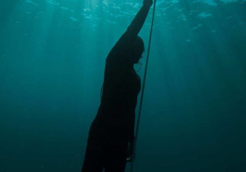 PADI Freediving Courses Mauritius